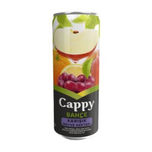 Meyve Suyu Karışık 250 Ml