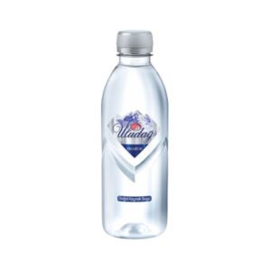 Premium Pet Şişe Su 400 Ml
