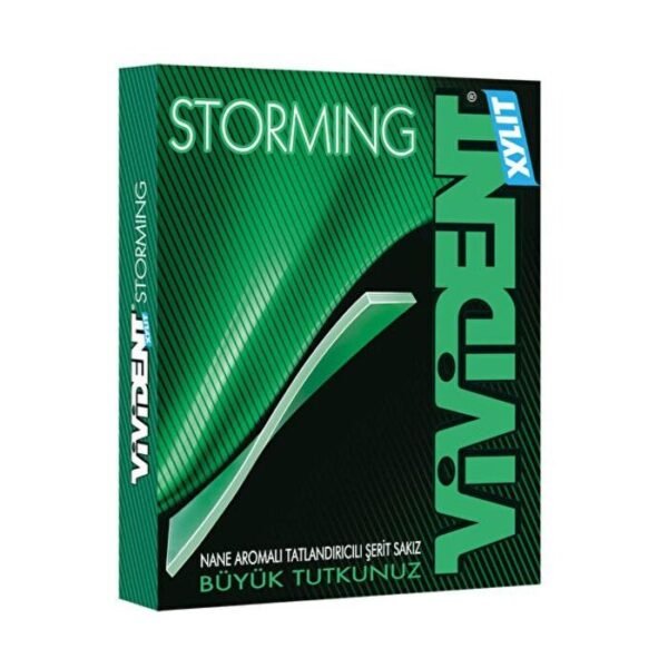 Sakız Storming Nane Aromalı 33 Gr