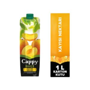 Meyve Suyu Kayısı 1 Lt