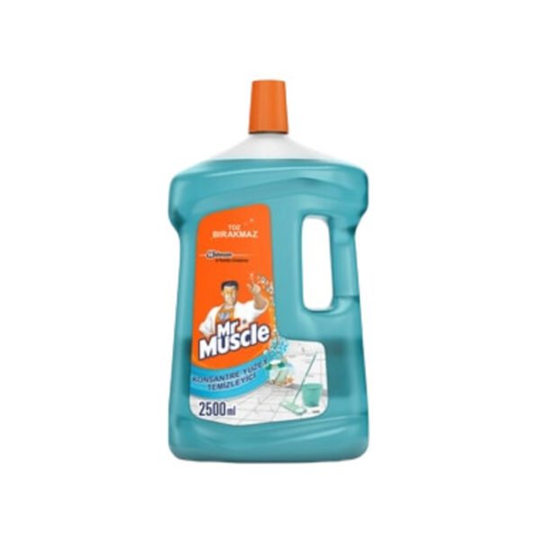 Yüzey Temizleyici Konsantre Okyanus Sessizliği 2.5 Lt
