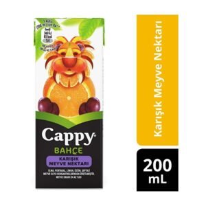 Meyve Suyu Mini Karışık 200 Ml