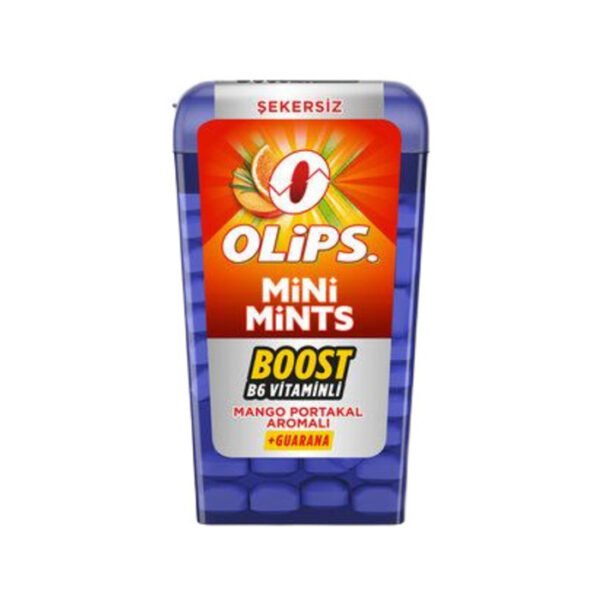 Şeker Mini Mints Mango & Portakal 12,5 Gr
