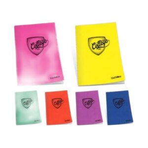 College Plastik Kapak A4 Kareli Defter 80 Yaprak