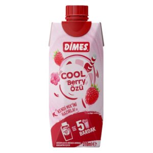 Cool Bery Özü 310 Ml