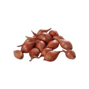 Soğan Arpacık Paket