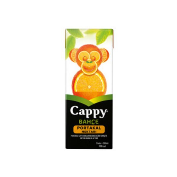 Meyve Suyu Portakal Nektarı 200 Ml
