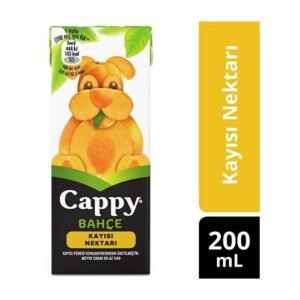 Meyve Suyu Bahçe Kayısılı 200 Ml