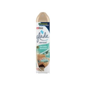 Oda Kokusu Aerosol Okyanus Sessizliği 300 Ml