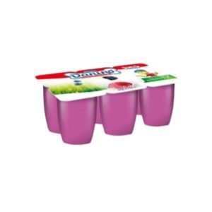 Yoğurt Petit Orman Meyveli 40 Gr